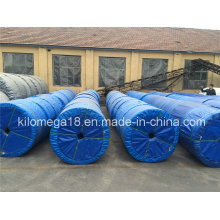 100m Length One Roll Conveyor Belt for Shipment